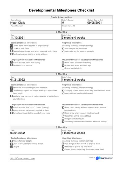 Developmental Milestones Checklist & Example | Free PDF Download