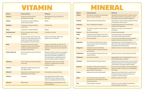 Vitamins Minerals And Their Functions at Josefa Jankowski blog