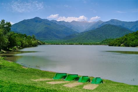 Quiet 的图像结果