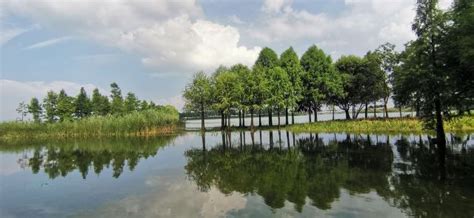 无锡的冬日，贡湖湾湿地公园是个仙境般的地方……__财经头条