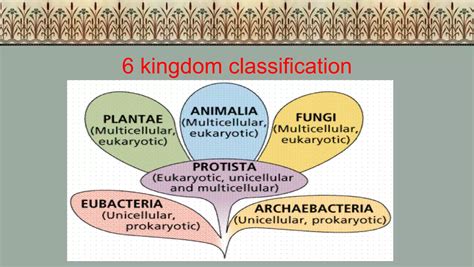 6 kingdoms classification | PPT