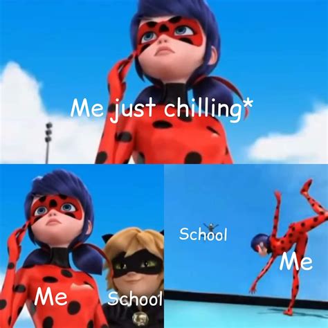 Miraculous Ladybug meme | Miraculous ladybug memes, Miraculous ladybug ...