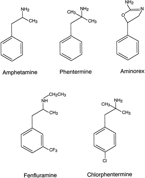 Aminorex, Fenfluramine, and Chlorphentermine Are Serotonin Transporter ...