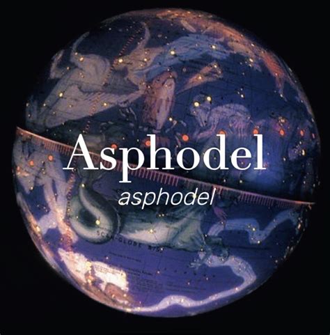 Asphodel - Baby Girl Name Meaning Aesthetic