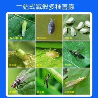 Image result for Screen of Code Numbers