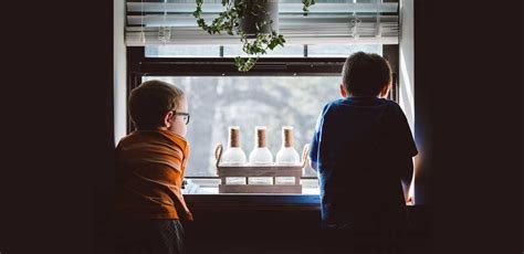 Clean Windows 的图像结果