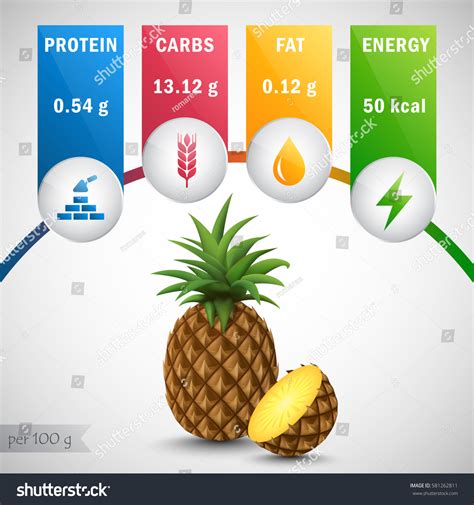 Pineapple Nutrients Vector Protein Carbs Fat Stock Vector (Royalty Free ...