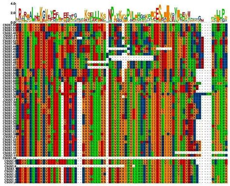 Genome-Wide Identification and Expression Analysis of Glutathione S ...