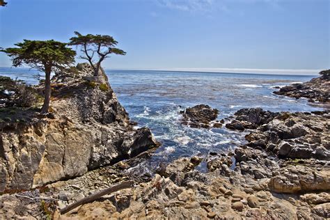 Asisbiz The Lonely Cypress Tree 17 Mile Drive Monterey California July ...