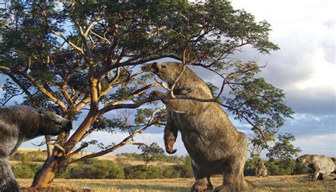 A MEGAFAUNA DO PLEISTOCENO NO BRASIL 🐘 - uma thread de @BiodiversidadeB ...