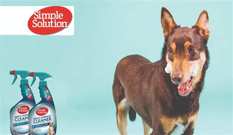 AnimealSimple Solution - Upto 15% Off - Animeal