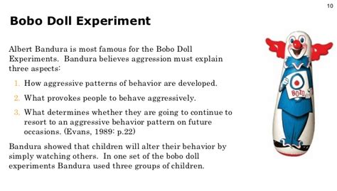 Behavior Experiment 的图像结果