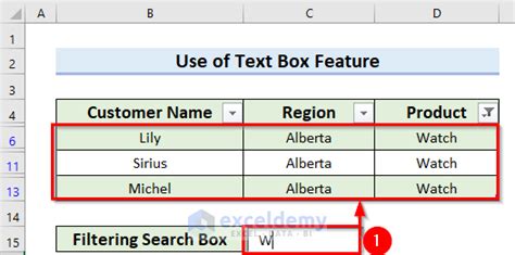 Image result for Interactive Text Box Filter in Excel