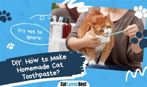 Image result for Homemade Cat Toothpaste