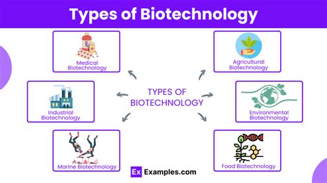 Biotechnology Examples 的图像结果