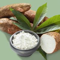 Image result for Tapioca Fiber