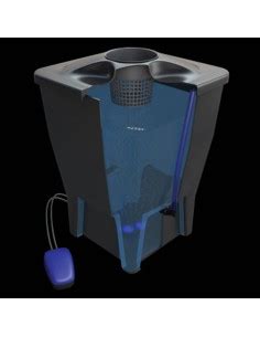 DWC-Systeme für maximale Erträge zuhause