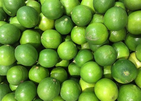 Organic Produce Distributors 的图像结果