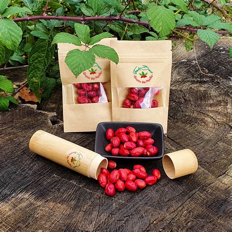 Achat Fruit Miracle Bio, Miraculine : Recettes, avis ...