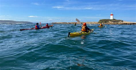 Guide Instructor 的图像结果