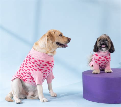 Dogs Sweaters - Buy Pets Sweaters Online at Best Price In India ...