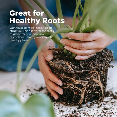 Houseplant Potting Soil - 2 Litres – Grow Buddha