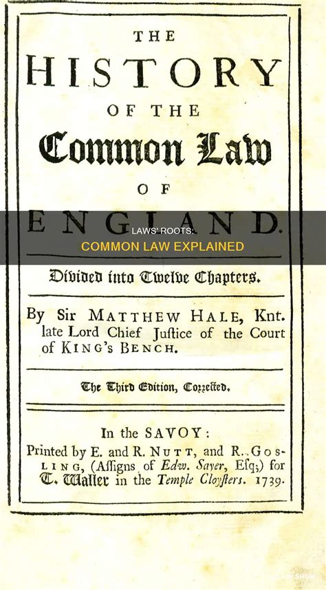 Laws' Roots: Common Law Explained | LawShun
