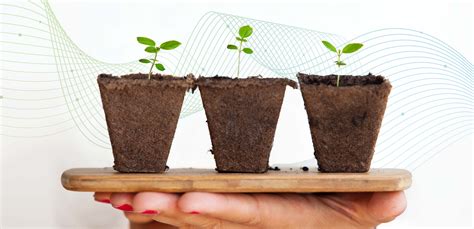 Image result for Deliver Data Output