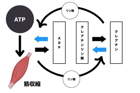 Image result for Data Structures Complexity