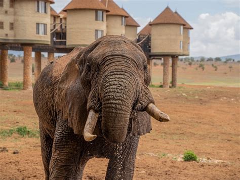 Mengo Tourism: All You Need to Know Before You Go (2026)