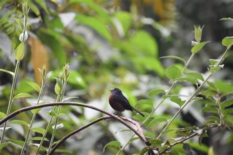 LOS TRES POTRILLOS (Campoalegre) - Inn Reviews & Photos - Tripadvisor