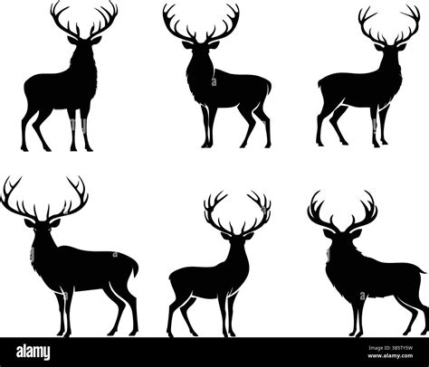 Deer Silhouettes Vector Set: Black and Editable Designs Stock Vector ...