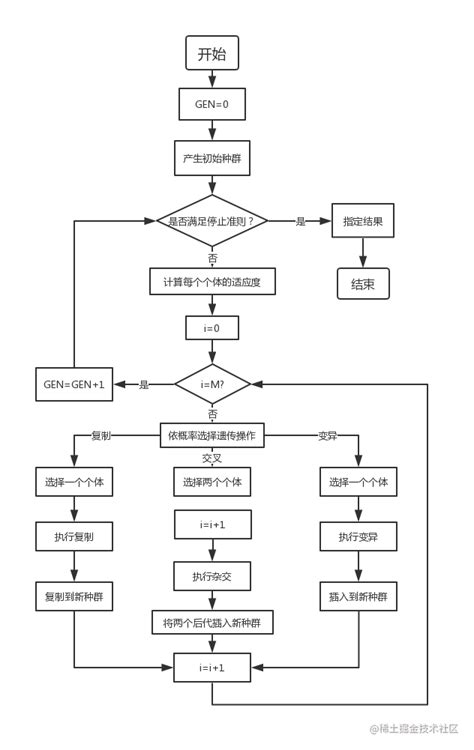 Image result for Genetic Algorithm Image Segmentation MATLAB