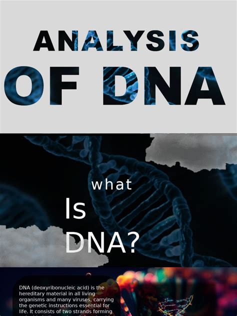 Image result for What Is DNA Analysis