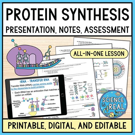 Protein Synthesis Amoeba Sisters Video Handout - Science is Real Education