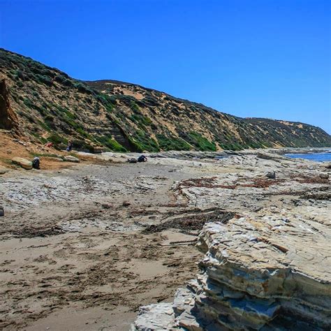 Islay Creek Campground - Montaña de Oro State Park Camping | The Dyrt