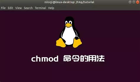 Explain Chmod 的图像结果