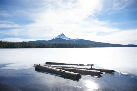 Cold Water Cove Campground in Willamette National Forest, Oregon ...