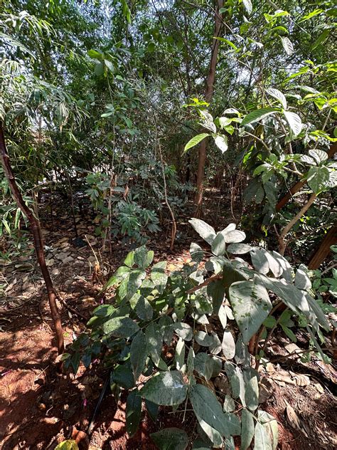 Welcome to Teamglobal