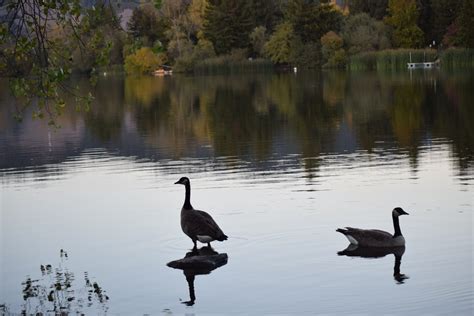 spring lake 11.02 (29) – Smiling In Sonoma