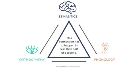 Reading Process Explained 的图像结果