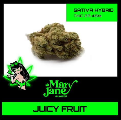 Juicy Fruit - Mary Jane Thailand