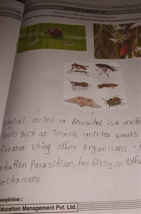 collect the pictures of predatory insects and write how they can ...