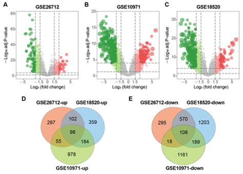 Identification of Novel Drugs Targeting Cell Cycle Regulators for the ...