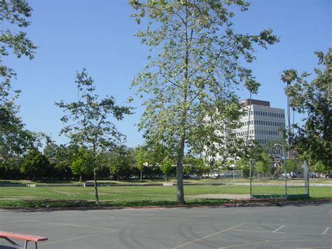 Photo Gallery | Brentwood Green | At Brentwood Science Magnet School