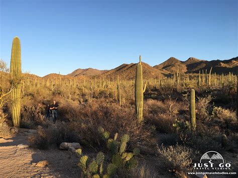Valley View Overlook Trail in Saguaro National Park – Just Go Travel ...