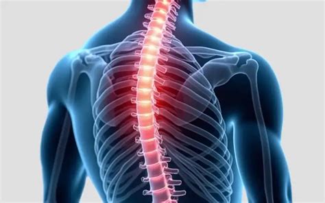 Applications of Proteon™ | SCHOTT Primoceler Oy