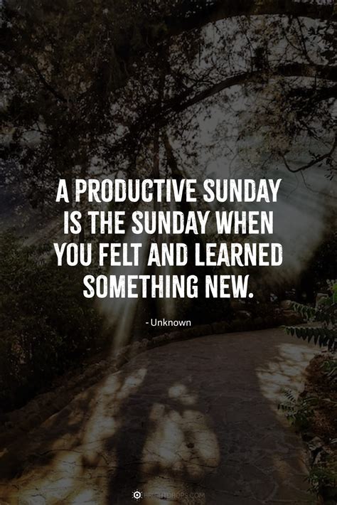 98 Sunday Quotes, Messages & Blessings - Bright Drops