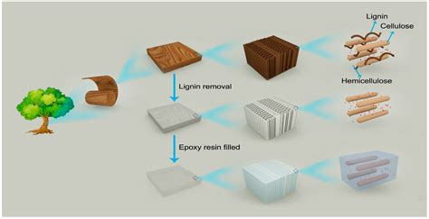 Effect of Lignin Content on Properties of Flexible Transparent Poplar ...