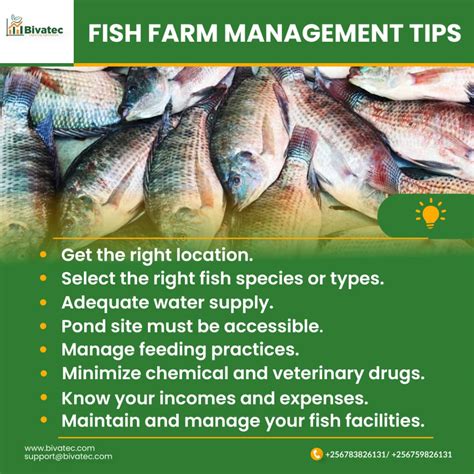 Exploring Fish Farming: Types, Significance, and Best Practices